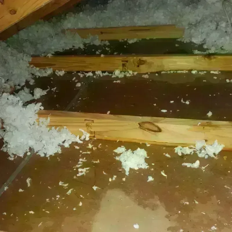 Attic Water Damage in West Carrollton City, OH